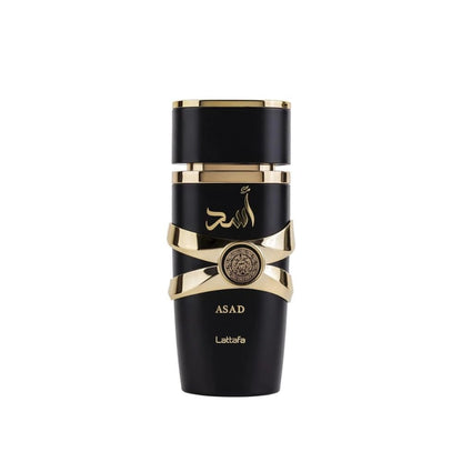 Dame Lattafa Asad Duft im Flakon, Aladin Fragrances, mit goldener Verpackung und eleganter Gestaltung, auf weißem Hintergrund